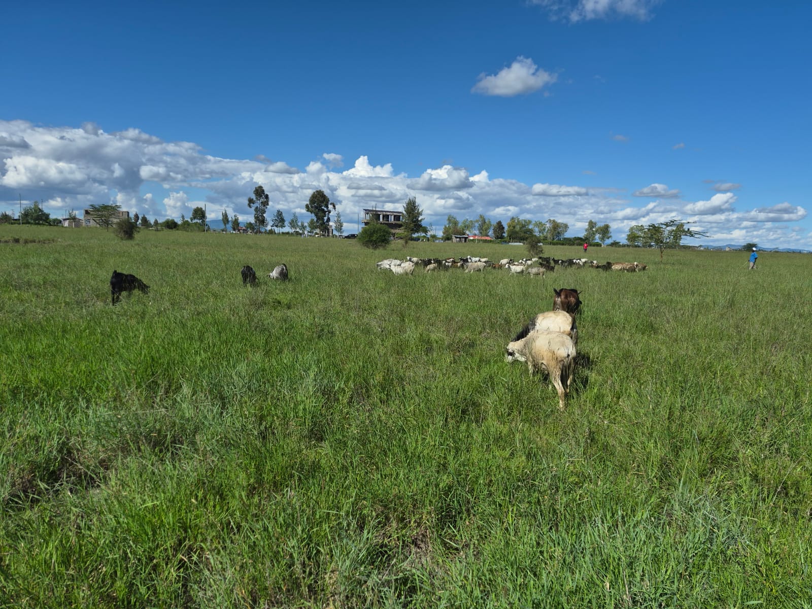 46 Acres — Joska, Machakos Road — Joska, Machakos